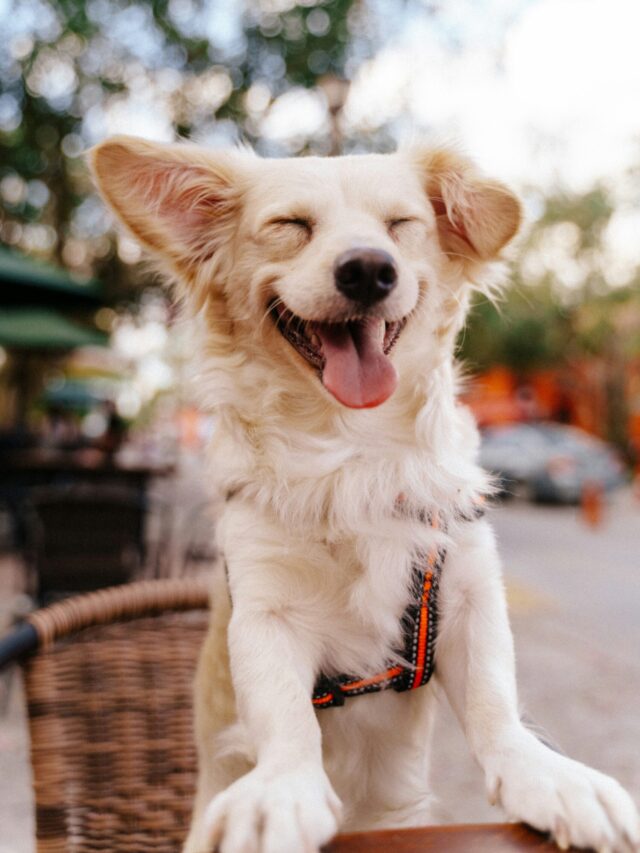 felipe-bustillo-wlWitE1dOcI-unsplash
